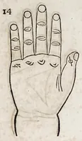 An illustration from Opvs mathematicvm octo libros complectens : innvmeris propemodvm figvris idealibvs manvvm et physiognomiae, aliisqve adornatvm, qvorvm sex priores libri absolutissimae cheiromantiae theoricam, praxim, doctrinam, artem, & experientiam verissimam continent : septimus physiognomiae dispositionem, hominumque omnium qualitates & complexiones : octauus periaxiomata de faciebus signorum, & quid sol in vnaquaque domo existens, natis polliceatur : remedia quoq; omnium aegritudinum complectitur : et naturalem astrologiam atq; effectus lunae quoad diuersas aegritudines : item isagogen astrologiae iudiciariae, & totius diuinatricis artis encomia ... (1562)