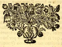 Picture 6 of 7 from Oraçoens gratulatorias na feliz vinda da muito alta, e muito poderosa rainha da Gram Bretanha, : compostas, e recitadas na Igreja da Divina Providencia à nobreza de Portugal nas tres ultimas tardes do mez de janeiro de 1693. (1693), leaf 56