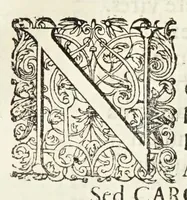 Picture 5 of 14 from Oratio inauguralis sacris augustissimarum nuptiarum solennibus serenissimi Principis ac Domini Dn. Caroli, D.G. Comitis Palatini ad Rhenum, electoralis dignitatis haeredis, ducis Bavariae et serenissimae Daniae et Novvegiae principis haeredis Wilhelminae Ernestinae, divi Friderici III. Daniae, Norwegiae, Gothorum Vandalorumque regis filiae (1671), leaf 33