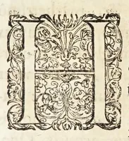 An illustration from Oratio inauguralis sacris augustissimarum nuptiarum solennibus serenissimi Principis ac Domini Dn. Caroli, D.G. Comitis Palatini ad Rhenum, electoralis dignitatis haeredis, ducis Bavariae et serenissimae Daniae et Novvegiae principis haeredis Wilhelminae Ernestinae, divi Friderici III. Daniae, Norwegiae, Gothorum Vandalorumque regis filiae (1671)