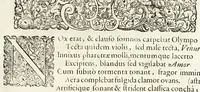 An illustration from Oratio inauguralis sacris augustissimarum nuptiarum solennibus serenissimi Principis ac Domini Dn. Caroli, D.G. Comitis Palatini ad Rhenum, electoralis dignitatis haeredis, ducis Bavariae et serenissimae Daniae et Novvegiae principis haeredis Wilhelminae Ernestinae, divi Friderici III. Daniae, Norwegiae, Gothorum Vandalorumque regis filiae (1671)