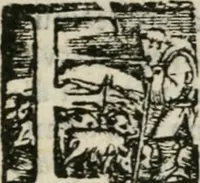 An illustration from Oratione fatta dal r.do padre Panigarola nel Duomo di Milano : nelle essequie dell'illustriss.mo & reuer.mo cardinale di S. Prassede arciuescouo di Milano (1584)