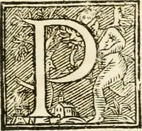 An illustration from Oratione fvnerale nelle solenni eseqvie di Alfonso IV. dvca di Modona e Reggio etc., à 16. di luglio l'anno MDCLXII. defunto : celebrate à 12. di giugno MDCLXIII. dall'Altezze serenisime di madama Lavra Sva consorte e del serenissimo dvca Francesco II. Svo figlio (1663)