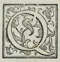 An illustration from Oratione, overo, Predica funebre : nella quale si contiene le molte virtù, & santa vita, & beato fine della serenissima infante donna Lisabetta, christianissima regina di Francia, nata regina d'Vngaria e di Boemia, & arciduchessa d'Austria (1593)