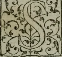 An illustration from The orator: handling a hundred seuerall discourses, in forme of declamations: some of the arguments being drawne from Titus Liuius and other ancient writers, the rest of the authors owne inuention: part of which are of matters happened in our age (1596)