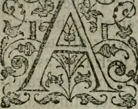 An illustration from The orator: handling a hundred seuerall discourses, in forme of declamations: some of the arguments being drawne from Titus Liuius and other ancient writers, the rest of the authors owne inuention: part of which are of matters happened in our age (1596)
