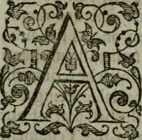 An illustration from The orator: handling a hundred seuerall discourses, in forme of declamations: some of the arguments being drawne from Titus Liuius and other ancient writers, the rest of the authors owne inuention: part of which are of matters happened in our age (1596)