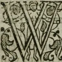 An illustration from The orator: handling a hundred seuerall discourses, in forme of declamations: some of the arguments being drawne from Titus Liuius and other ancient writers, the rest of the authors owne inuention: part of which are of matters happened in our age (1596)