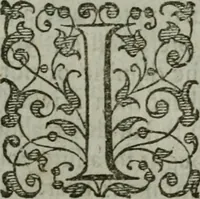 An illustration from The orator: handling a hundred seuerall discourses, in forme of declamations: some of the arguments being drawne from Titus Liuius and other ancient writers, the rest of the authors owne inuention: part of which are of matters happened in our age (1596)