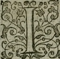 An illustration from The orator: handling a hundred seuerall discourses, in forme of declamations: some of the arguments being drawne from Titus Liuius and other ancient writers, the rest of the authors owne inuention: part of which are of matters happened in our age (1596)
