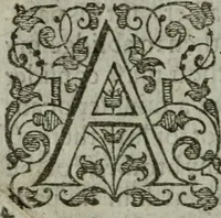 An illustration from The orator: handling a hundred seuerall discourses, in forme of declamations: some of the arguments being drawne from Titus Liuius and other ancient writers, the rest of the authors owne inuention: part of which are of matters happened in our age (1596)