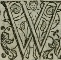 An illustration from The orator: handling a hundred seuerall discourses, in forme of declamations: some of the arguments being drawne from Titus Liuius and other ancient writers, the rest of the authors owne inuention: part of which are of matters happened in our age (1596)