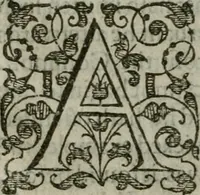 An illustration from The orator: handling a hundred seuerall discourses, in forme of declamations: some of the arguments being drawne from Titus Liuius and other ancient writers, the rest of the authors owne inuention: part of which are of matters happened in our age (1596)
