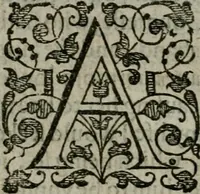 Picture 8 of 46 from The orator: handling a hundred seuerall discourses, in forme of declamations: some of the arguments being drawne from Titus Liuius and other ancient writers, the rest of the authors owne inuention: part of which are of matters happened in our age (1596), leaf 29