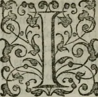 An illustration from The orator: handling a hundred seuerall discourses, in forme of declamations: some of the arguments being drawne from Titus Liuius and other ancient writers, the rest of the authors owne inuention: part of which are of matters happened in our age (1596)