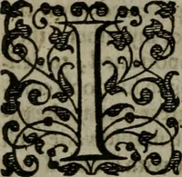 An illustration from The orator: handling a hundred seuerall discourses, in forme of declamations: some of the arguments being drawne from Titus Liuius and other ancient writers, the rest of the authors owne inuention: part of which are of matters happened in our age (1596)