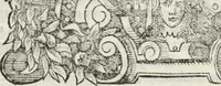 Picture 4 of 7 from Orazione del s.r Alessandro Gvarini, accademico intrepido, detto il Macerato : fatta in lode di D. Alderano Cybo, marchese di Carrara e recitata publicamente nell'Accademia (1609), leaf 6