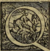An illustration from Orazione di Lionardo Salviati nella morte di Michelagnolo Bvonarroti (1564)