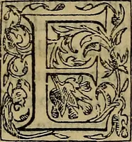 An illustration from Orazione di Lionardo Salviati nella morte di Michelagnolo Bvonarroti (1564)