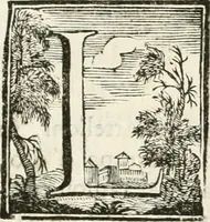 An illustration from Orazione funebre e descrizione del solenne funerale dell'Altezza serenissima Antonio I. ottavo duca di Parma ... : celebrato in Bologna dal Ducal Collegio Ancarano nella chiesa parrocchiale priorato della Maddalena LI XXVII. novembre MDCC XXXI (1731)