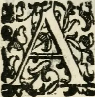 Picture 9 of 9 from Orazione funerale nell'esequie di madama sereniss. Margherita Gonzaga d'Este, duchessa di Ferrara (1618), leaf 33