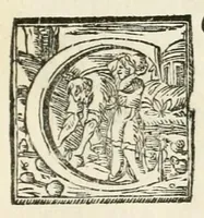 Picture 2 of 3 from Orazione funerale di Girolamo Lanfredini canonico fiorentino in morte della regina Isabella di Spagna (1645), leaf 9