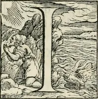 An illustration from Orazione fvnerale del cavalier Lionardo Salviati : da lui publicamente recitata nell'esequie del sereniss. Cosimo Medici grandvca di Toscana, gran maestro della relligione de' Caualieri di Santo Stefano : celebrate l'vltimo dì d'aprile dell'anno 1574 nella chiesa dell'ordine in Pisa (1574)