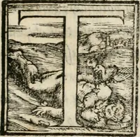 An illustration from Orazion funerale del s. Pietro Angeli da Barga : recitata latina in Firenze nell'esseqvie del serenis.mo d. Francesco Medici, gran duca di Toscana, sotto di 15. di dicemb. M.D.LXXXVII (1587)