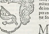 An illustration from Orbis Polonvs, splendoribus caeli: Triumphis mundi: pulchritudine animantium: decore aquatilium: naturae excellentia reptilium, condecoratvs. In qvo antiqva Sarmatarvm gentilitia, pervetvstae nobilitatis polonae insignia, vetera & noua indigenatus meritorum praemia & arma, specificantur & relucent. Nunc primum, vt Latinitati consecratus, ita claritate & veritate perspicuus (1641)