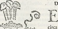 An illustration from Orbis Polonvs, splendoribus caeli: Triumphis mundi: pulchritudine animantium: decore aquatilium: naturae excellentia reptilium, condecoratvs. In qvo antiqva Sarmatarvm gentilitia, pervetvstae nobilitatis polonae insignia, vetera & noua indigenatus meritorum praemia & arma, specificantur & relucent. Nunc primum, vt Latinitati consecratus, ita claritate & veritate perspicuus (1641)