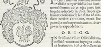Picture 53 of 111 from Orbis Polonvs, splendoribus caeli: Triumphis mundi: pulchritudine animantium: decore aquatilium: naturae excellentia reptilium, condecoratvs. In qvo antiqva Sarmatarvm gentilitia, pervetvstae nobilitatis polonae insignia, vetera & noua indigenatus meritorum praemia & arma, specificantur & relucent. Nunc primum, vt Latinitati consecratus, ita claritate & veritate perspicuus (1641), leaf 728