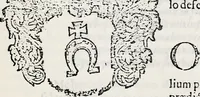 Picture 67 of 111 from Orbis Polonvs, splendoribus caeli: Triumphis mundi: pulchritudine animantium: decore aquatilium: naturae excellentia reptilium, condecoratvs. In qvo antiqva Sarmatarvm gentilitia, pervetvstae nobilitatis polonae insignia, vetera & noua indigenatus meritorum praemia & arma, specificantur & relucent. Nunc primum, vt Latinitati consecratus, ita claritate & veritate perspicuus (1641), leaf 882