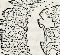 An illustration from Orbis Polonvs, splendoribus caeli: Triumphis mundi: pulchritudine animantium: decore aquatilium: naturae excellentia reptilium, condecoratvs. In qvo antiqva Sarmatarvm gentilitia, pervetvstae nobilitatis polonae insignia, vetera & noua indigenatus meritorum praemia & arma, specificantur & relucent. Nunc primum, vt Latinitati consecratus, ita claritate & veritate perspicuus (1641)