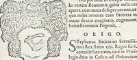 Picture 72 of 111 from Orbis Polonvs, splendoribus caeli: Triumphis mundi: pulchritudine animantium: decore aquatilium: naturae excellentia reptilium, condecoratvs. In qvo antiqva Sarmatarvm gentilitia, pervetvstae nobilitatis polonae insignia, vetera & noua indigenatus meritorum praemia & arma, specificantur & relucent. Nunc primum, vt Latinitati consecratus, ita claritate & veritate perspicuus (1641), leaf 936