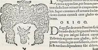 An illustration from Orbis Polonvs, splendoribus caeli: Triumphis mundi: pulchritudine animantium: decore aquatilium: naturae excellentia reptilium, condecoratvs. In qvo antiqva Sarmatarvm gentilitia, pervetvstae nobilitatis polonae insignia, vetera & noua indigenatus meritorum praemia & arma, specificantur & relucent. Nunc primum, vt Latinitati consecratus, ita claritate & veritate perspicuus (1641)