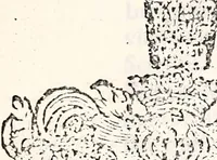 An illustration from Orbis Polonvs, splendoribus caeli: Triumphis mundi: pulchritudine animantium: decore aquatilium: naturae excellentia reptilium, condecoratvs. In qvo antiqva Sarmatarvm gentilitia, pervetvstae nobilitatis polonae insignia, vetera & noua indigenatus meritorum praemia & arma, specificantur & relucent. Nunc primum, vt Latinitati consecratus, ita claritate & veritate perspicuus (1641)