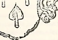 An illustration from Orbis Polonvs, splendoribus caeli: Triumphis mundi: pulchritudine animantium: decore aquatilium: naturae excellentia reptilium, condecoratvs. In qvo antiqva Sarmatarvm gentilitia, pervetvstae nobilitatis polonae insignia, vetera & noua indigenatus meritorum praemia & arma, specificantur & relucent. Nunc primum, vt Latinitati consecratus, ita claritate & veritate perspicuus (1641)