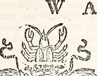 Picture 72 of 109 from Orbis Polonvs, splendoribus caeli: Triumphis mundi: pulchritudine animantium: decore aquatilium: naturae excellentia reptilium, condecoratvs. In qvo antiqva Sarmatarvm gentilitia, pervetvstae nobilitatis polonae insignia, vetera & noua indigenatus meritorum praemia & arma, specificantur & relucent. Nunc primum, vt Latinitati consecratus, ita claritate & veritate perspicuus (1641), leaf 562