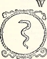 An illustration from Orbis Polonvs, splendoribus caeli: Triumphis mundi: pulchritudine animantium: decore aquatilium: naturae excellentia reptilium, condecoratvs. In qvo antiqva Sarmatarvm gentilitia, pervetvstae nobilitatis polonae insignia, vetera & noua indigenatus meritorum praemia & arma, specificantur & relucent. Nunc primum, vt Latinitati consecratus, ita claritate & veritate perspicuus (1641)