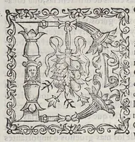 Picture 4 of 4 from Ordenanças reales, para la Casa de la Contratacion de Seuilla, y para otras cosas de las Indias. Y de la nauegacion y contractacion dellas (1585), leaf 19