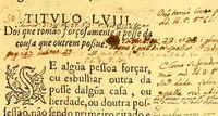 Picture 35 of 42 from Ordenaços, e leis do reino de Portugal (1603), leaf 691