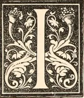 An illustration from An ordinary of arms contained in the public register of all arms and bearings in Scotland (1893)