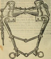 An illustration from Ordini di cavalcare (1571)