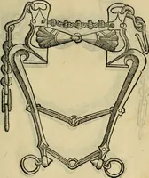 An illustration from Ordini di cavalcare (1571)