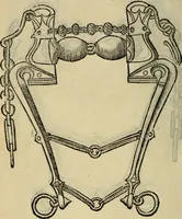 Picture 14 of 54 from Ordini di cavalcare (1571), leaf 131