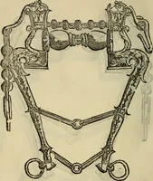 Picture 16 of 54 from Ordini di cavalcare (1571), leaf 133