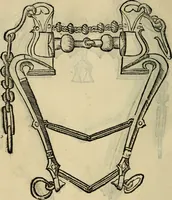Picture 25 of 54 from Ordini di cavalcare (1571), leaf 145