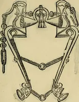 Picture 26 of 54 from Ordini di cavalcare (1571), leaf 146