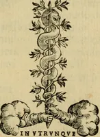 An illustration from Ordini di cavalcare (1571)