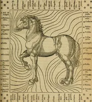 An illustration from Ordini di cavalcare (1571)